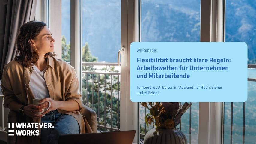 Flexibilitaet braucht klare Regeln_WHATEVER.WORKS Whitepaper